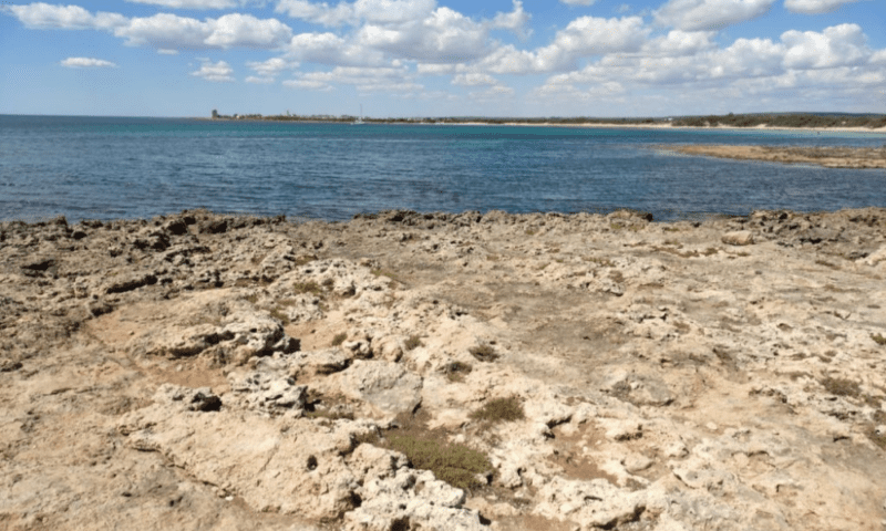 Puglia in Camper – Tra Mare, Borghi e Tradizioni - immagine 2