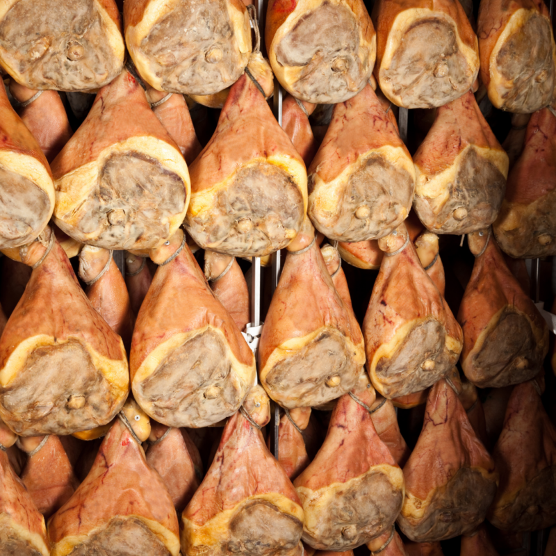 PARMA IN TOUR - immagine 3