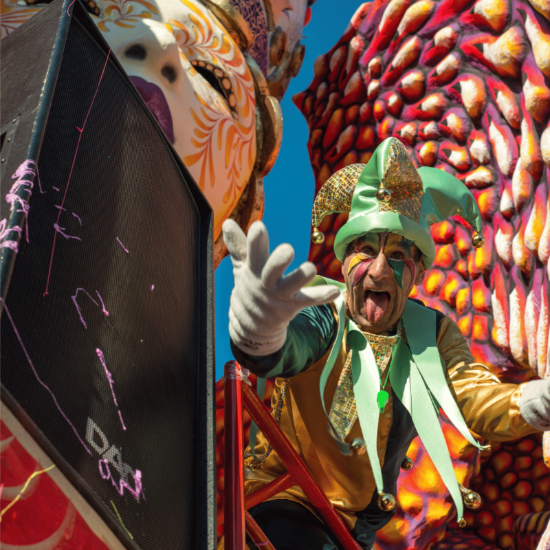 CARNEVALE  VIAREGGIO  - in camper - immagine 2