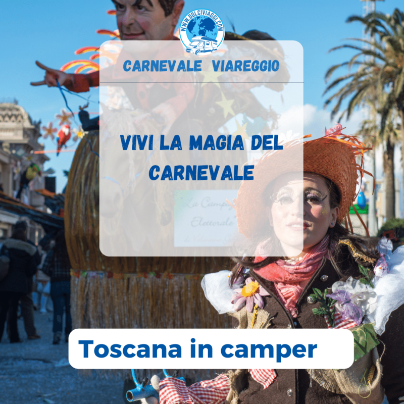 CARNEVALE  VIAREGGIO  - in camper