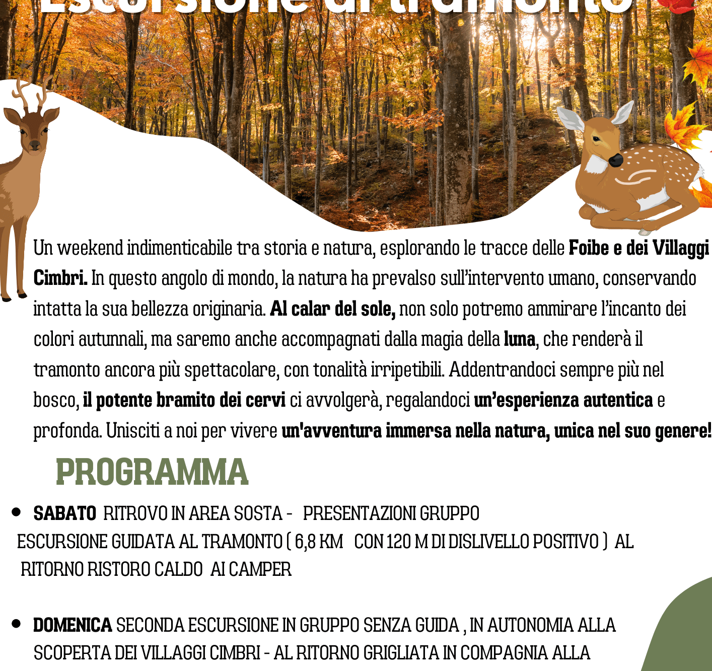 BRAMITO E FOLIAGE CON DOLCIVIAGGI