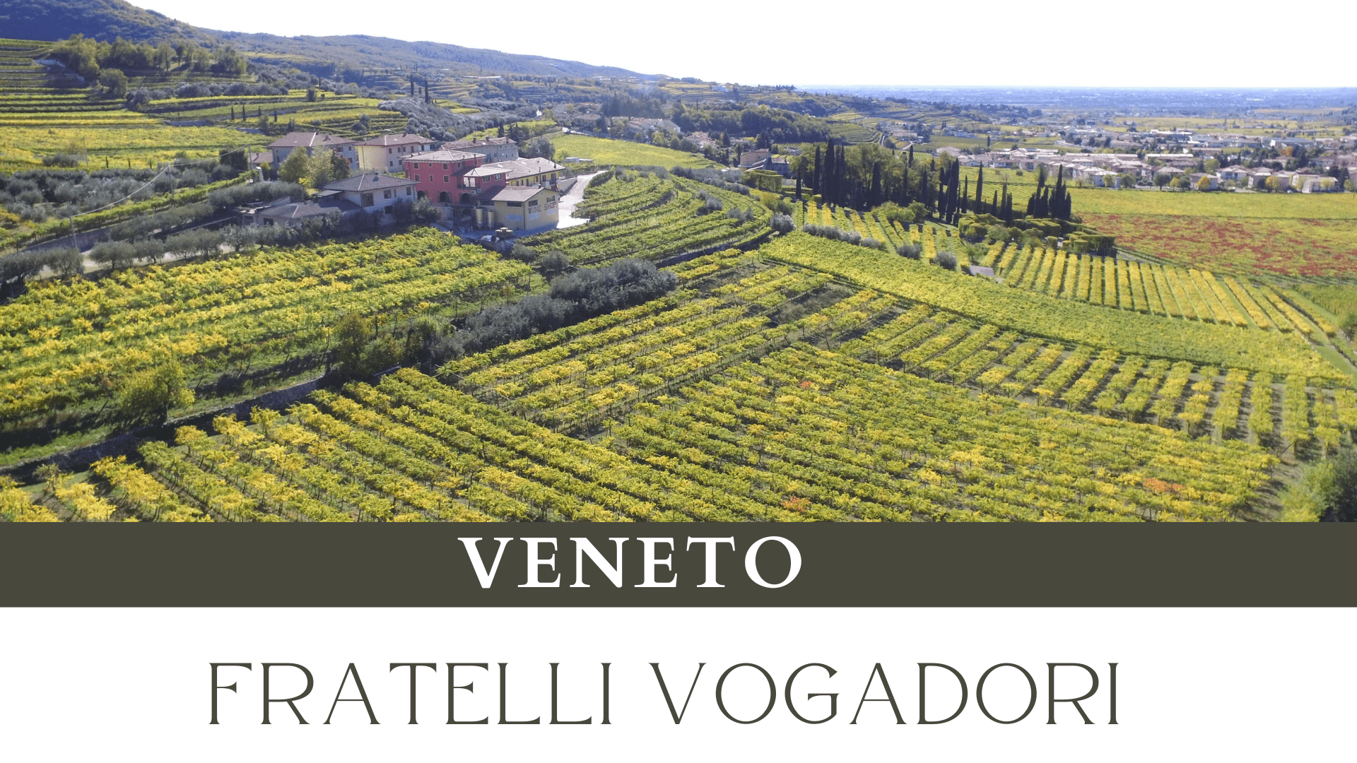 Fratelli Vogadori, l’Amarone di famiglia – Veneto Fratelli Vogadori, l’Amarone di famiglia – Veneto