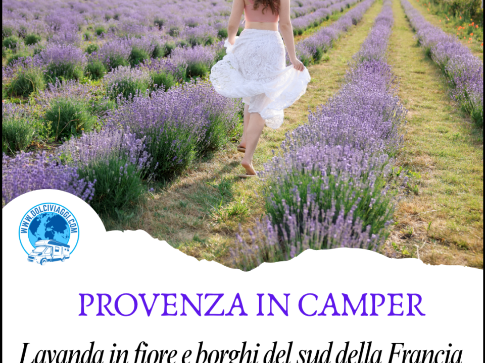 lavanda in camper - dolciviaggi