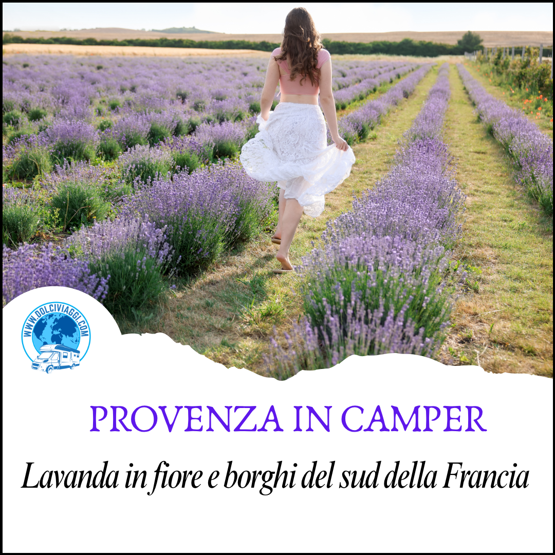 lavanda in camper - dolciviaggi