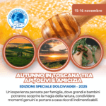 Autunno in Toscana: api, olivi e weekend per famiglie