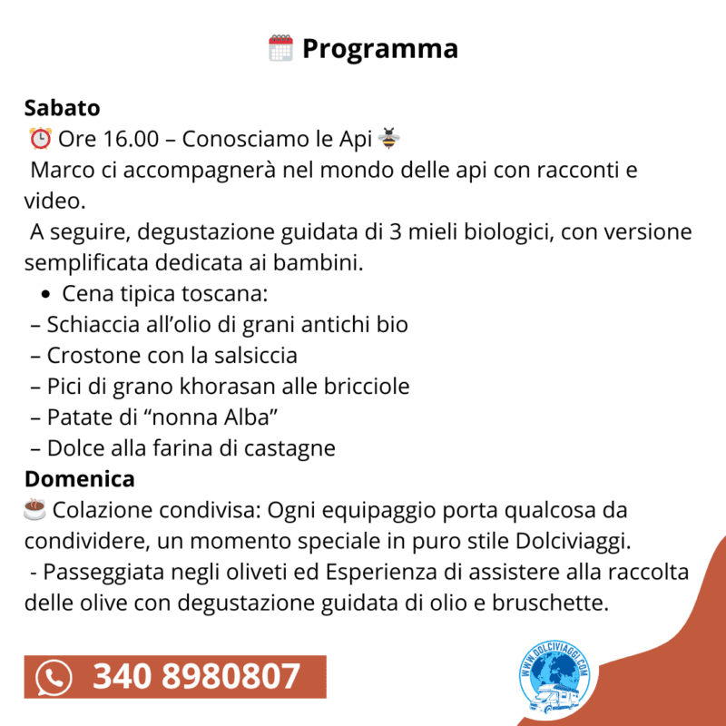 Dolce Autunno in Toscana: tra api, olivi e amicizia - immagine 3