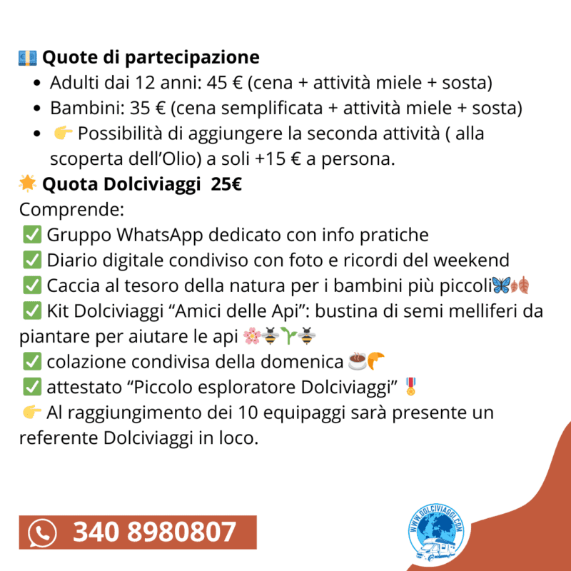 Dolce Autunno in Toscana: tra api, olivi e amicizia - immagine 4