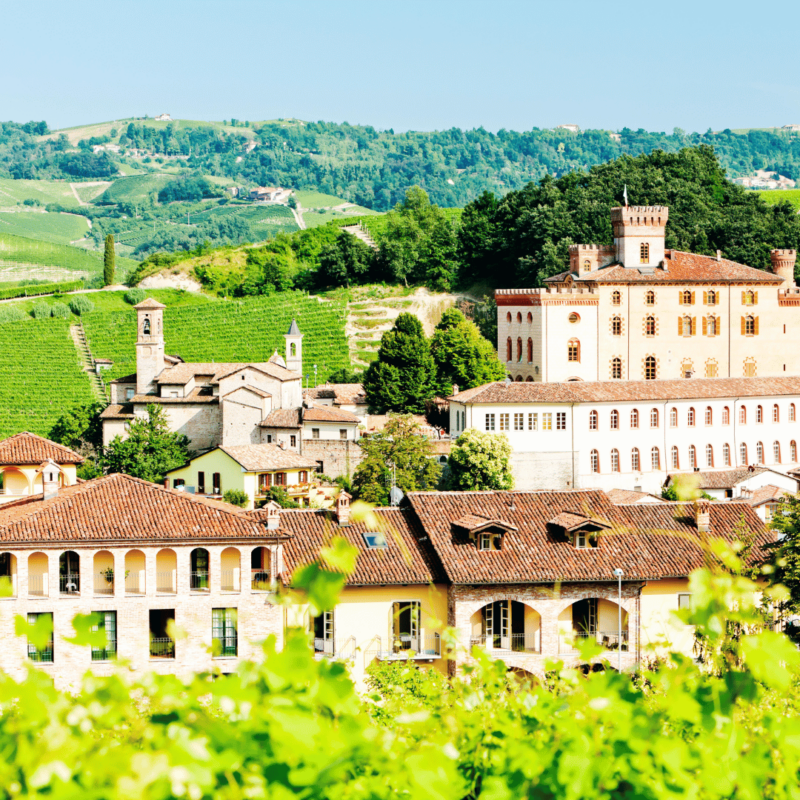 Langhe Gourmet in Camper – Weekend d’Autunno 2025 | Edizione speciale Dolciviaggi - immagine 4