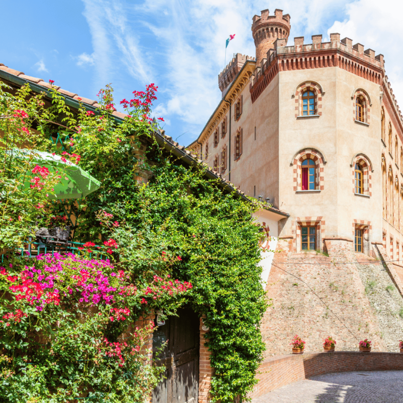 Langhe Gourmet in Camper – Weekend d’Autunno 2025 | Edizione speciale Dolciviaggi - immagine 5