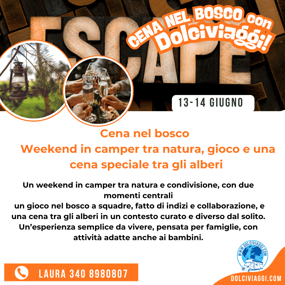 cena nel bosco in camper