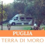 PUGLIA – AGRICAMPEGGIO TERRA DI MORO
