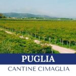 PUGLIA – CANTINE CIMAGLIA