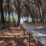 TOSCANA – Club del Sole Le Gorette Cecina Easy Camping Village