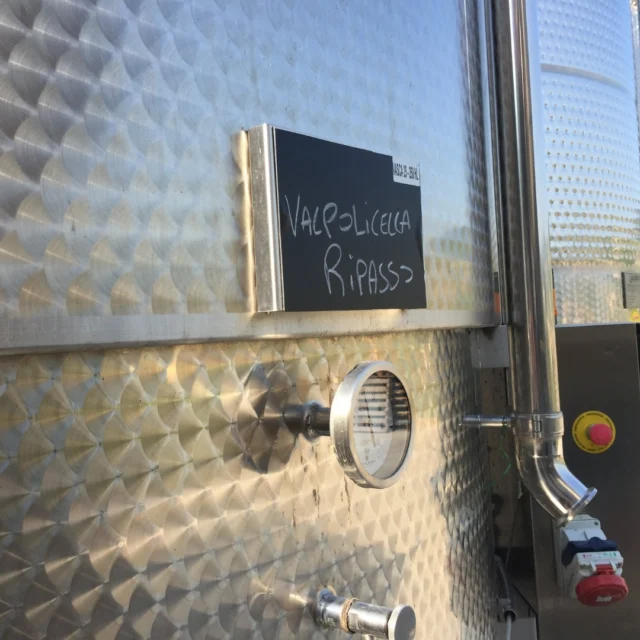 🚐🍷 Weekend libero? Ti porto tra i vigneti della Valpolicella!
Degustazioni, paesaggi da cartolina e tanta libertà: tutto in un unico itinerario, facile da seguire e pronto per farti vivere momenti indimenticabili.
📍 Cosa trovi nell’itinerario:
* Vigneti e cantina selezionata 🍇
* Borghi affascinanti 🏘️
* Relax in mezzo alla natura 🌿
👉 Scopri il programma completo qui: https://dolciviaggi.com/prodotto/weekend-di-gusto-e-relax-tra-i-vigneti-della-valpolicella/
Parti quando vuoi. Vivi a modo tuo. ✨
#Dolciviaggi #CamperLife #ViaggioDiGusto #ValpolicellaExperience #WeekendPerfetto