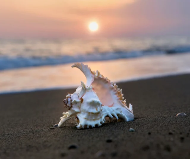 ✨ Parti senza stress, torna con ricordi indimenticabili.
Con i nostri itinerari digitali viaggi in libertà, ma con la sicurezza di un percorso già tracciato.
📍 Mete adatte ai bambini
🦮 Amici a 4 zampe benvenuti
⛺️ Soste camper testate
👉 Acquista oggi e preparati a partire!
