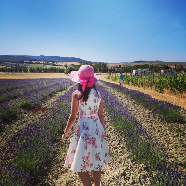 🚐🪻Cosa ne pensate delle distese di lavanda?
